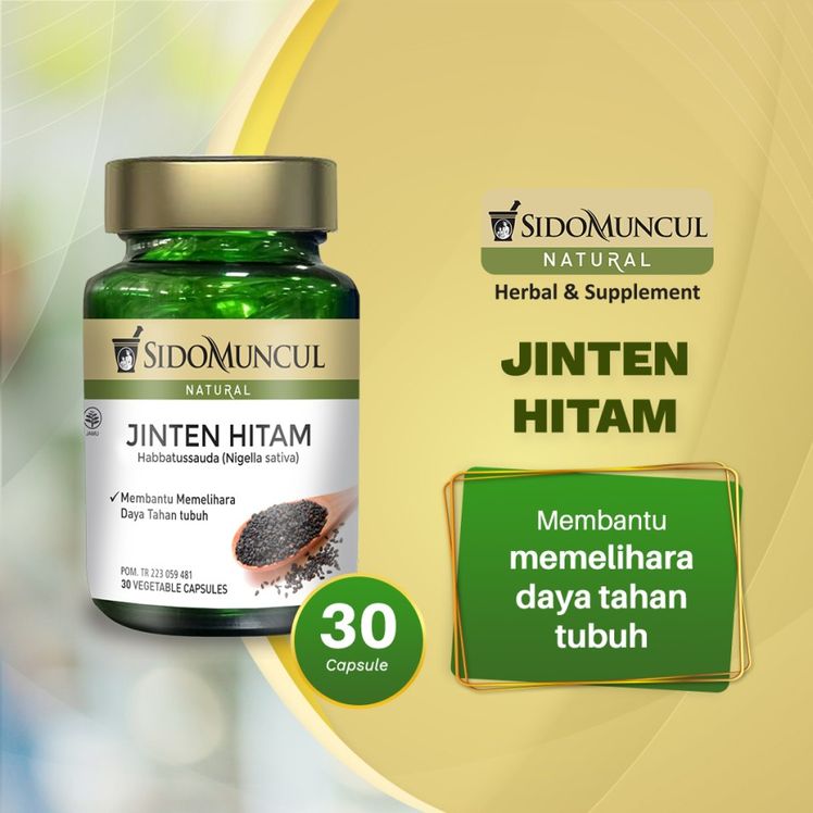 sido muncul jintan hitam